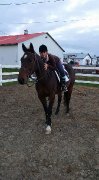demi pension sur cheval 