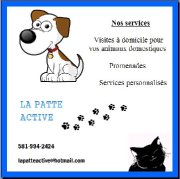 Gardiennage à domicile pour vos animaux