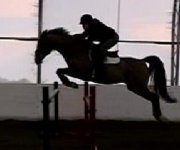 Cours d'équitation classique à St-Sylvère