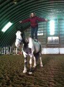 Demi pension JUMENT a Laprairie\ Half pension MARE Laprairie
