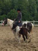 Jument paint de 6 ans  - Litchie