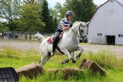 Demie-pension sur cheval arabe 