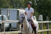 Demie-pension sur cheval arabe 