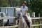 Demie-pension sur cheval arabe 