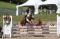 Demi-Pension disponible sur cheval en or!