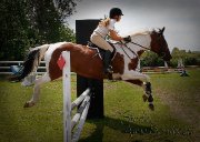 Demi-Pension disponible sur cheval en or!