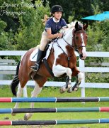 Demi-Pension disponible sur cheval en or!