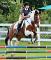 Demi-Pension disponible sur cheval en or!