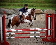 Demi-Pension disponible sur cheval en or!