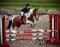 Demi-Pension disponible sur cheval en or!