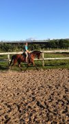 Recherche cavalier avancé - Gratuit 