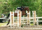 Recherche cavalier avancé - Gratuit 