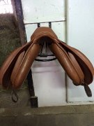 Selle close contact Ames