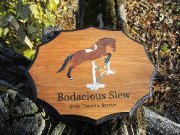 Plaque de boxe 