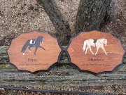 Plaque de boxe 