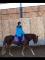 Beau petit cheval attachant pour CAVALIER AVANCÉ 