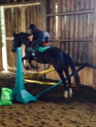 Saut d'obstacle ou dressage l'Épiphanie sur grand cheval 
