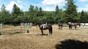 Saut d'obstacle ou dressage l'Épiphanie sur grand cheval 