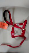 PETIT PRIX! sangles, licous, cloches, gants  - Licou rouge