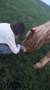 J'ai trouvé un cheval abandonné par son...
