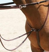 Germain Martingale