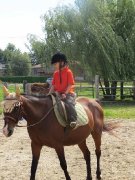 Poney a vendre