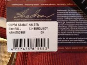 Licou et tapis à vendre!