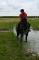 Demi- pension sur cheval polyvalent 