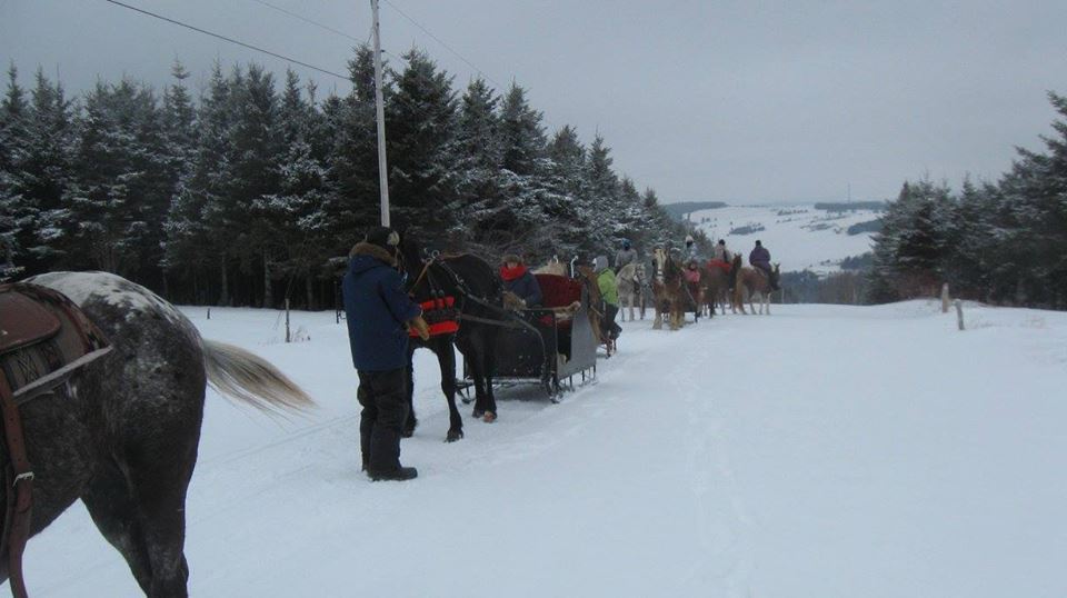 Clinique vétérinaire et Purina 5 mars St-Sylvestre