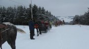 Clinique vétérinaire et Purina 5 mars St-Sylvestre