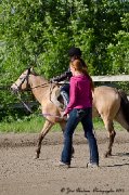 CAMPS DE JOUR EQUITATION