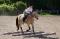 CAMPS DE JOUR EQUITATION