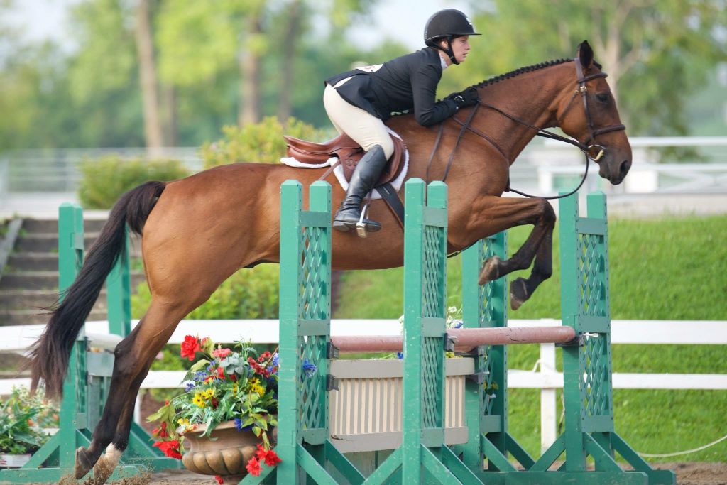 Super cheval en demi-pension à mirabel!