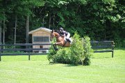 Super cheval en demi-pension à mirabel!