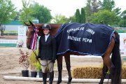 Super cheval en demi-pension à mirabel!