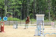 Super cheval en demi-pension à mirabel!