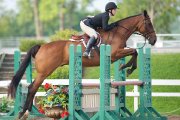 Super cheval en demi-pension à mirabel!