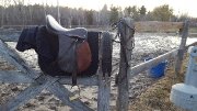 Selle avec équipement complet à vendre