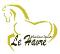 Cours d'équitation classique secteur Québec