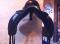 Selle de dressage Santa Cruz avec systeme Genesis