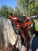 Équipement western complet