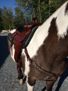 Équipement western complet