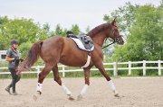 Entrainement Dressage par Coach certifiée