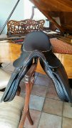Selle Saddle E. Jeffries dressage special edition impeccable