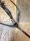 Martingale et collier de chasse