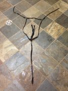 Martingale et collier de chasse