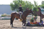 Cours d'équitationclassique  et camp de jour 
