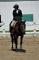 À vendre Thoroughbred de 8 ans