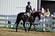 À vendre Thoroughbred de 8 ans