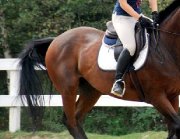 Beau half pad pas cher